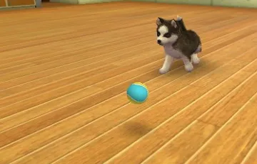 Nintendogs   Cats - French Bulldog & New Friends (Japan) (Rev 2) screen shot game playing
